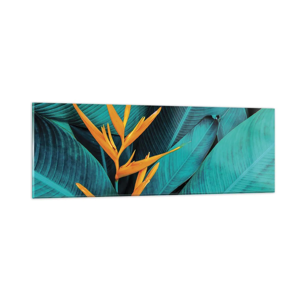 Cuadro sobre vidrio - Impresiones sobre Vidrio - Flor del Edén - 90x30 cm