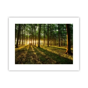 Póster - Una fotografía de todos los manantiales - 40x30 cm