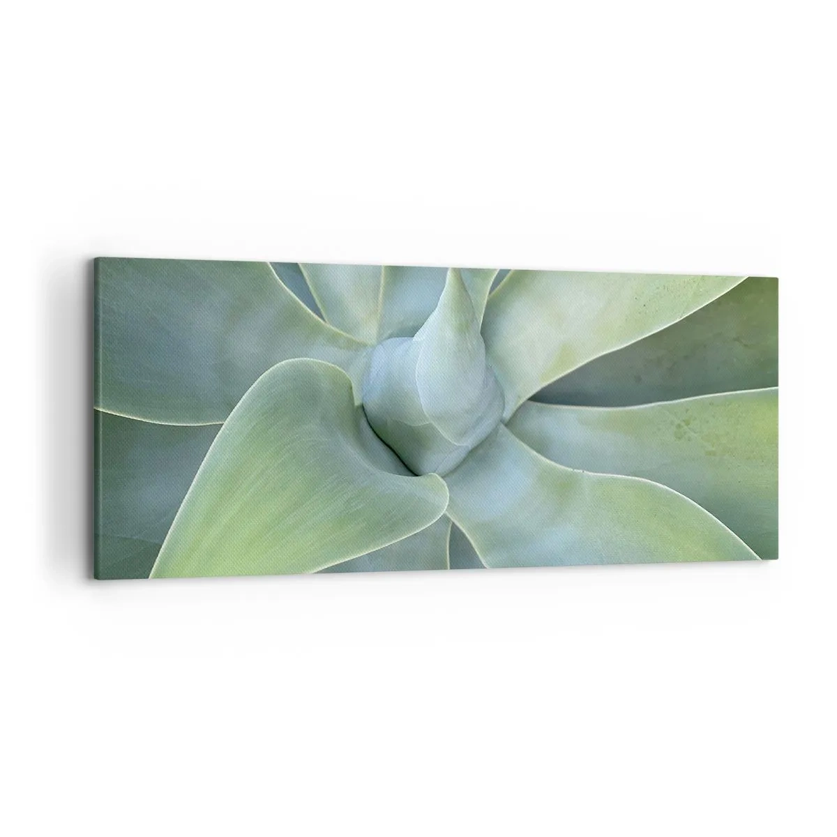 Cuadro sobre lienzo - Impresión de Imagen - Hojas sutiles de agave en tonos verdes. - 120x50cm - El nacimiento del verde - Decoración de pared moderna para salón y dormitorio ARTTOR