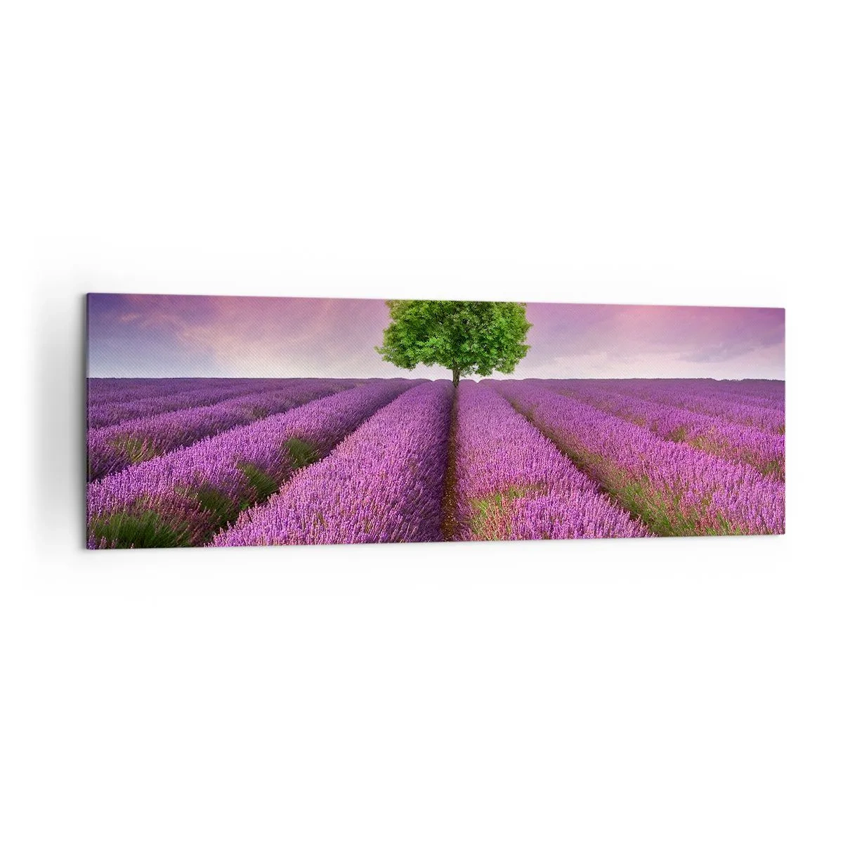 Cuadro sobre lienzo - Impresión de Imagen - Un campo de lavanda con un árbol solitario y un cielo púrpura. - 160x50cm - En los campos de lavanda - Decoración de pared moderna para salón y dormitorio ARTTOR