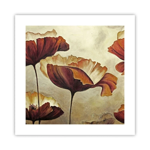 Póster - Prado de prados - 40x40 cm