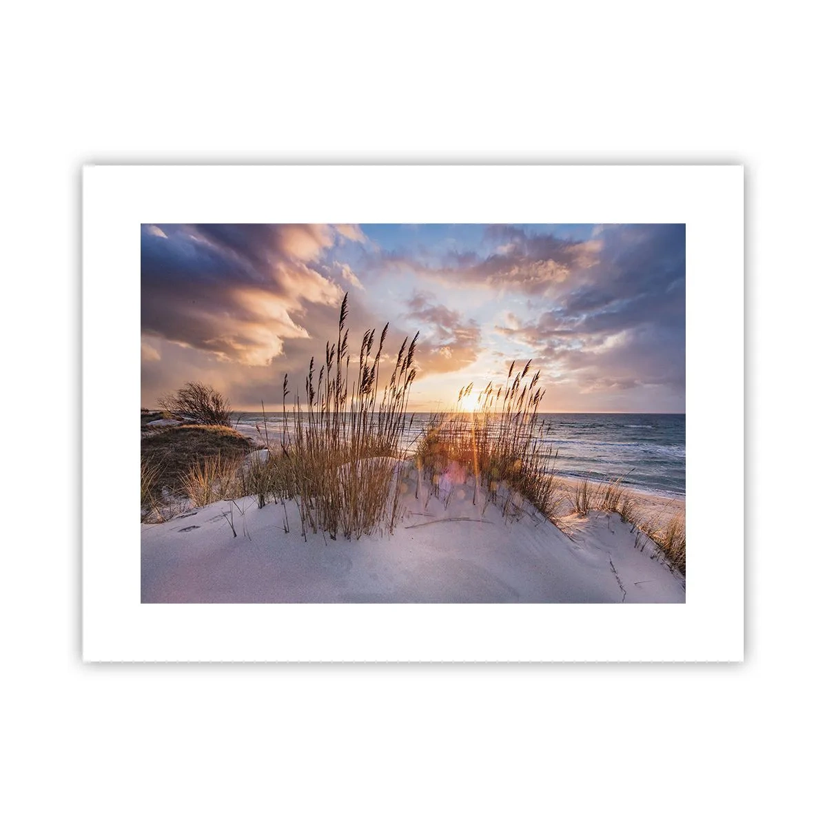 Póster - Adiós al sol y al viento - 40x30 cm