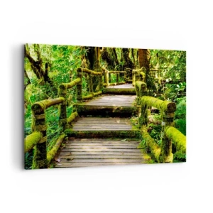 Cuadro sobre lienzo - Impresión de Imagen - Un puente de madera cubierto de musgo en una selva tropical. - 100x70cm - A través de un corredor verde - Decoración de pared moderna para salón y dormitorio ARTTOR