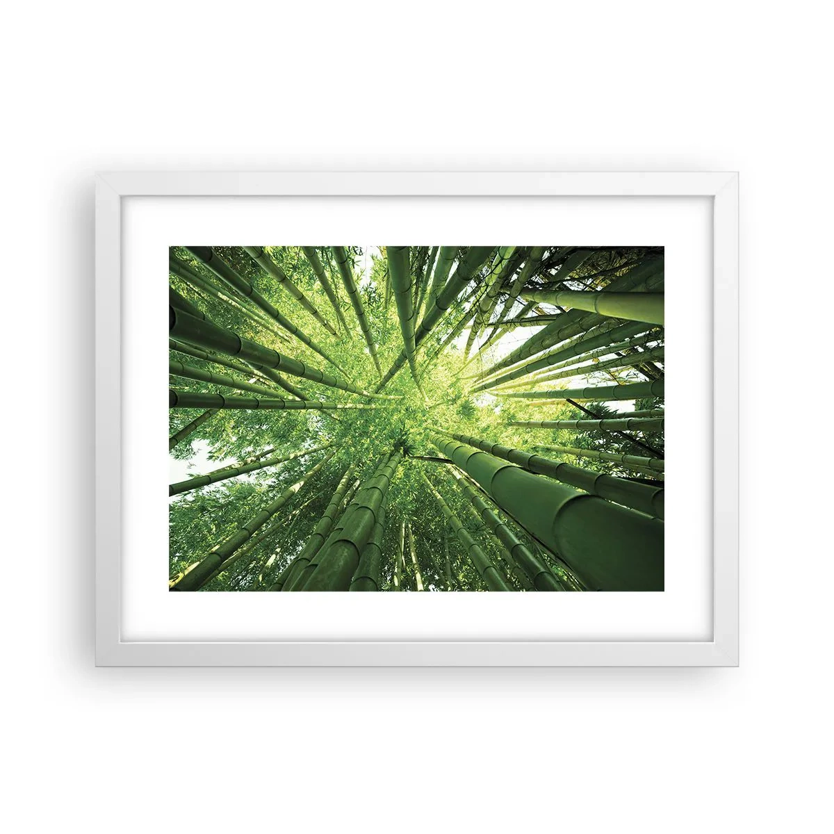 Póster en marco blanco - En un bosquecillo de bambú - 40x30 cm