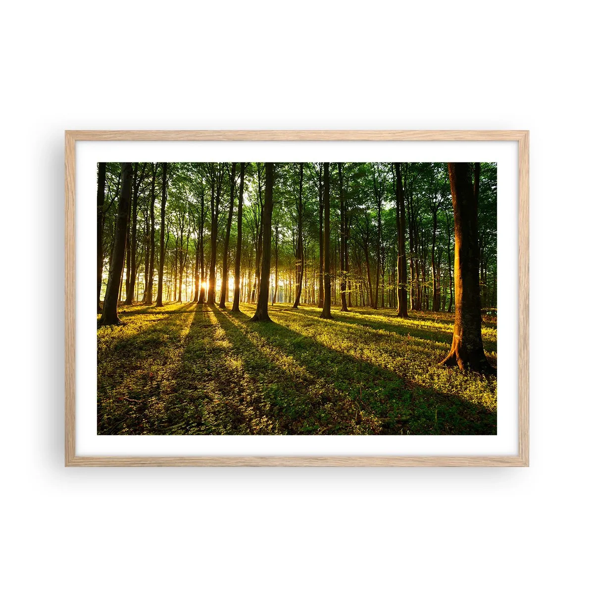 Póster en marco roble claro - Una fotografía de todos los manantiales - 70x50 cm