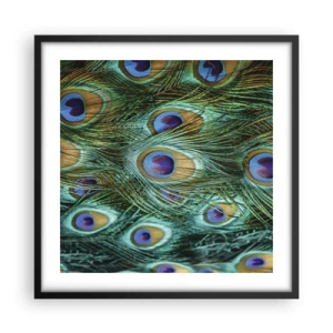 Póster en marco negro - Mirada de pavo real - 50x50 cm