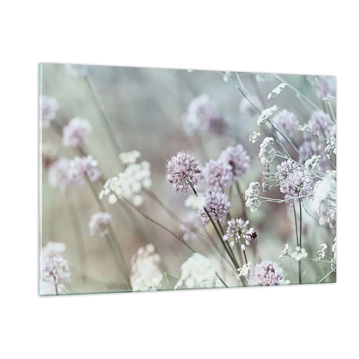Cuadro sobre vidrio - Impresiones sobre Vidrio - Delicadas flores silvestres en tonos pastel. - 120x80cm - Dulces filigranas de hierbas - Decoración de pared moderna para salón y dormitorio ARTTOR
