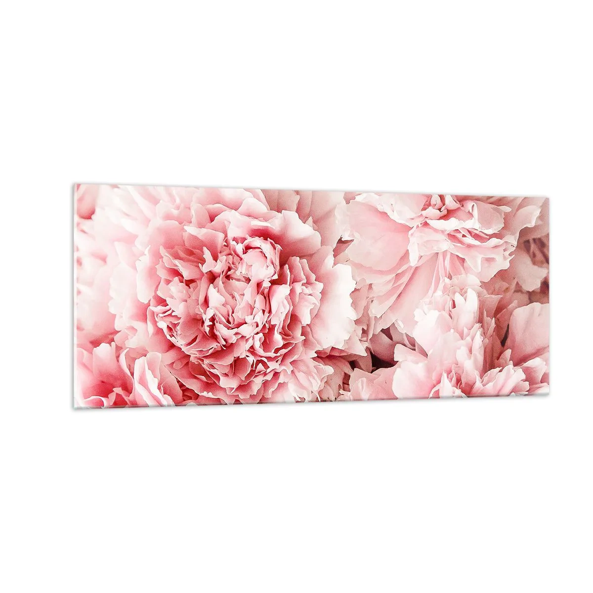 Cuadro sobre vidrio - Impresiones sobre Vidrio - Sueño rosa - 100x40 cm