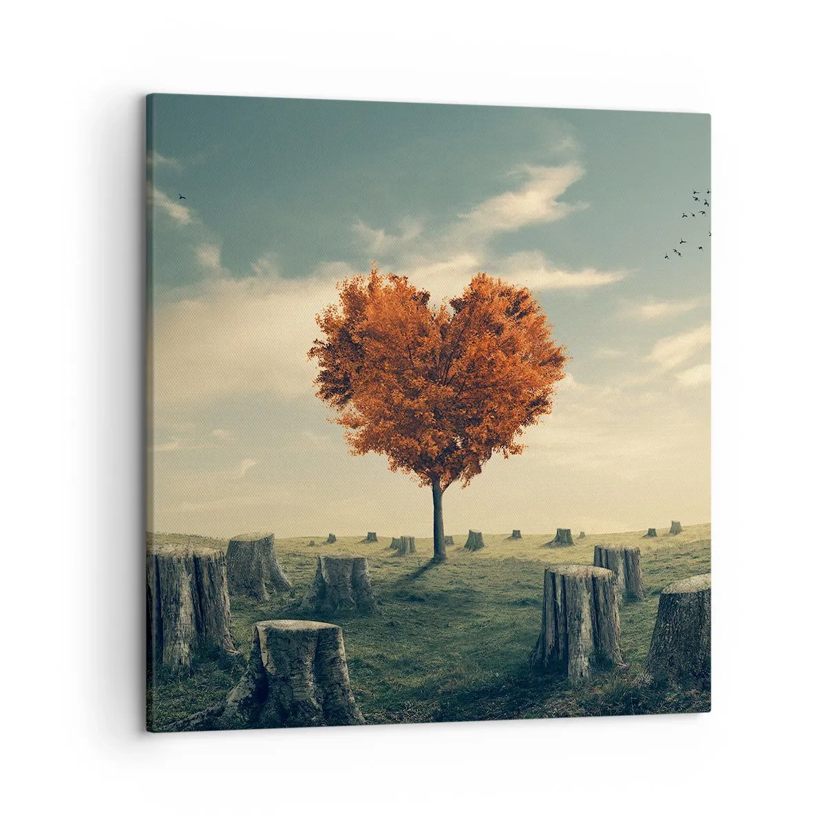 Cuadro sobre lienzo - Impresión de Imagen - Todavía hay esperanza - 50x50 cm