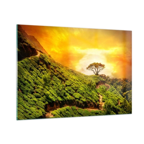 Cuadro sobre vidrio - Impresiones sobre Vidrio - Colinas verdes con un árbol solitario al atardecer - 100x70cm - Por un camino sinuoso, por una verde pendiente - Decoración de pared moderna para salón y dormitorio ARTTOR