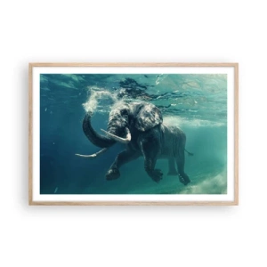 Póster en marco roble claro - A todos nos gusta nadar - 91x61 cm