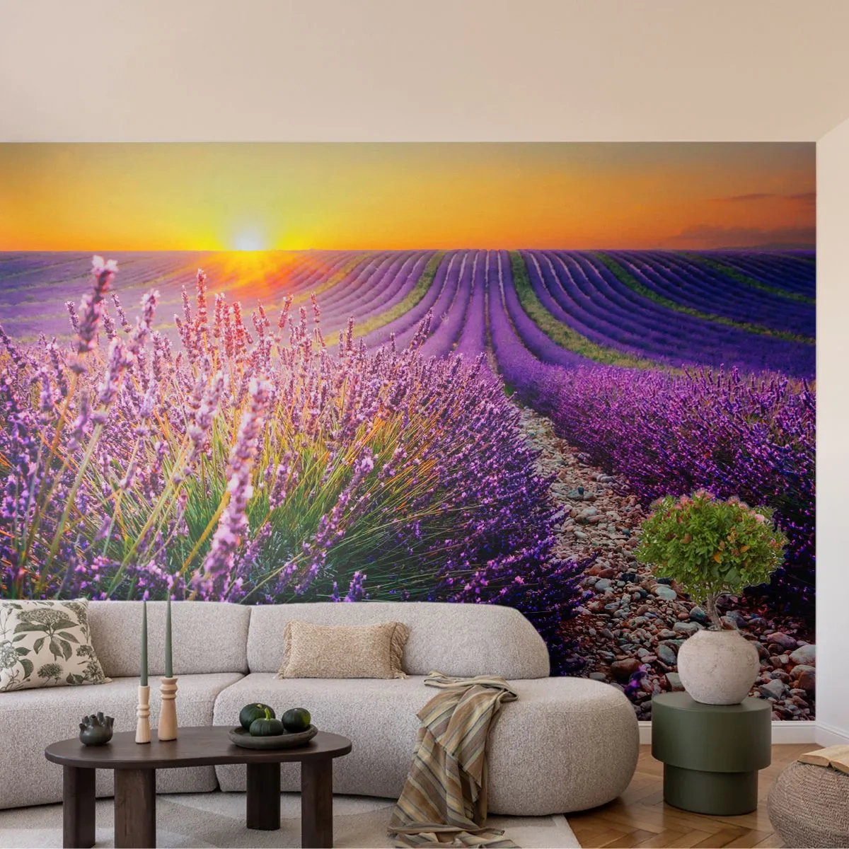 Fotomural Standard Eco - Pradera fragante - Paisaje, campo de lavanda, Provenza - 200x140 cm