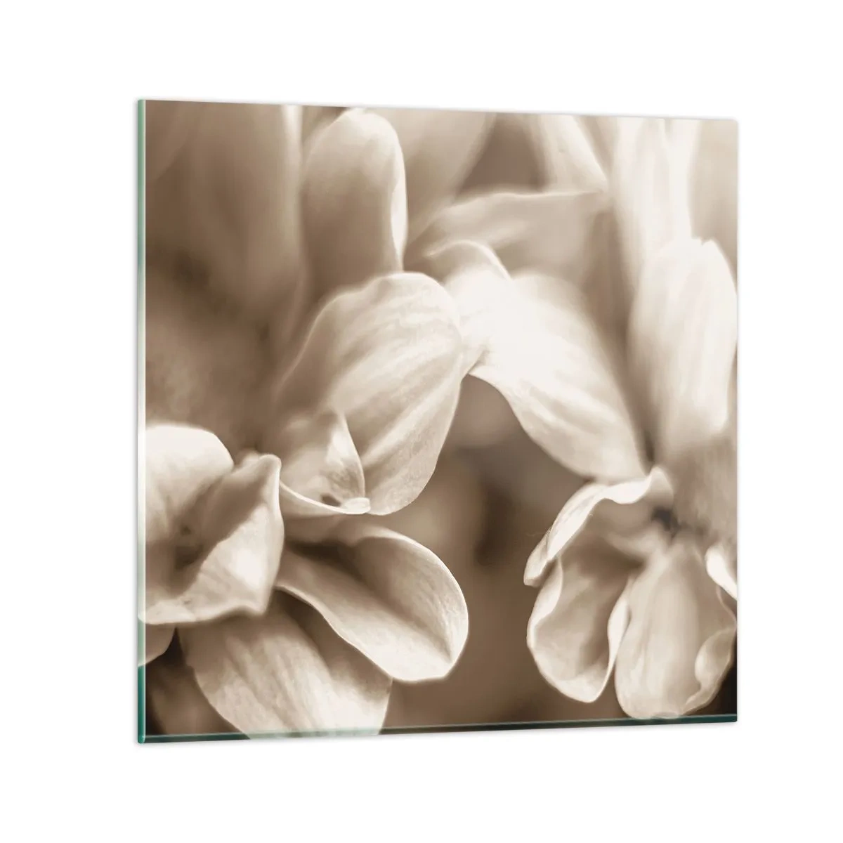 Cuadro sobre vidrio - Impresiones sobre Vidrio - Suave como una sonrisa - 70x70 cm