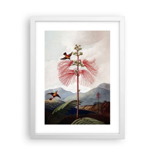 Póster en marco blanco - En un paraíso tropical - 30x40 cm