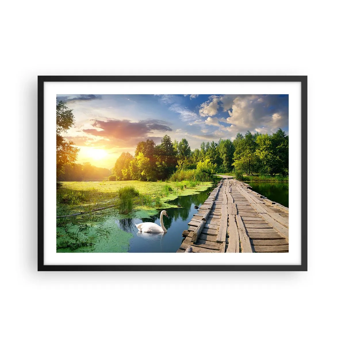 Póster en marco negro - Un paisaje pintoresco con un puente y un cisne. - 70x50cm - Verano, verano en todas partes - Decoración de pared moderna para salón y dormitorio ARTTOR
