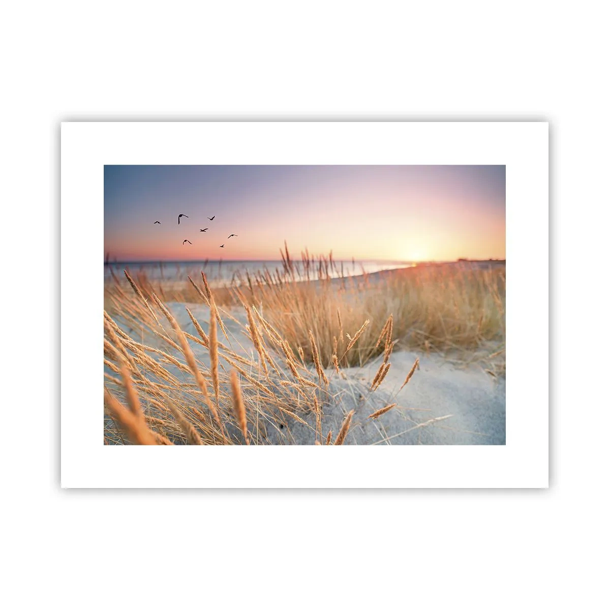 Póster - Dulce nana del Báltico - 40x30 cm