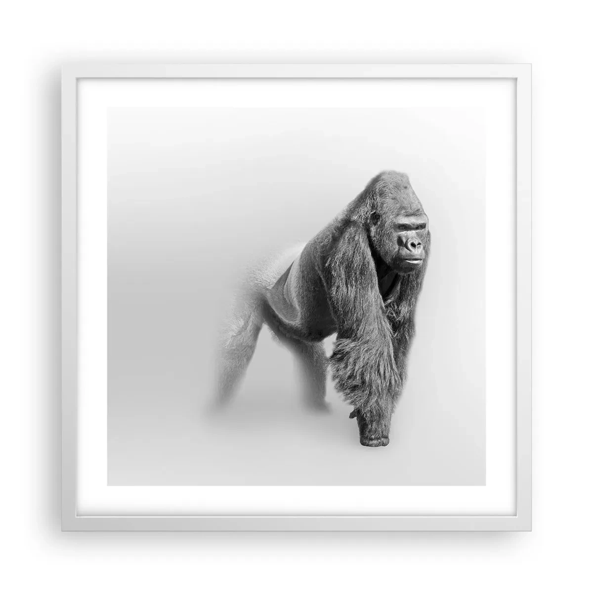 Póster en marco blanco - Confiando en su fuerza - 50x50 cm