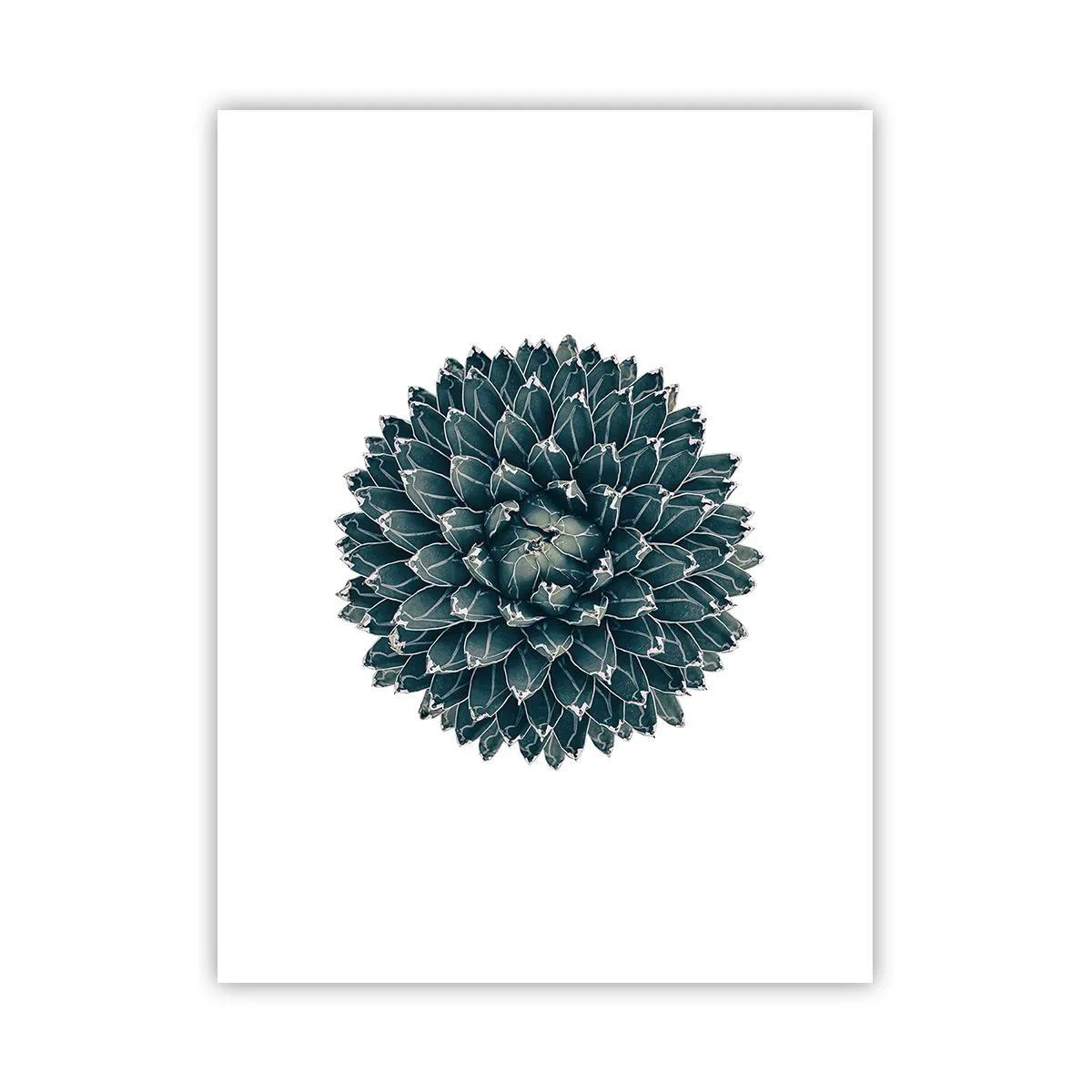 Póster - Estrella del desierto - 30x40 cm