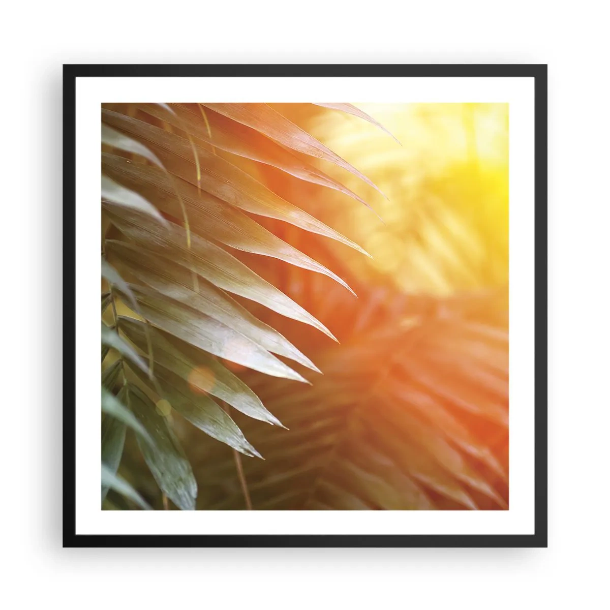 Póster en marco negro - Mañana en la selva - 60x60 cm