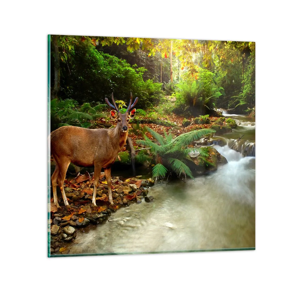 Cuadro sobre vidrio - Impresiones sobre Vidrio - Bienvenido a mi mundo - 60x60 cm