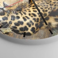 Esfera sin numeración, con rayas