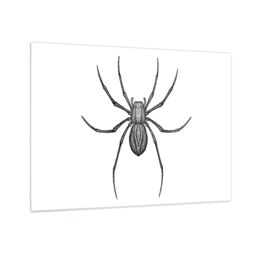 Cuadro sobre vidrio - Impresiones sobre Vidrio - Ilustración de estilo retro de una araña negra sobre un fondo blanco. - 70x50cm - Precisión inquietante - Decoración de pared moderna para salón y dormitorio ARTTOR