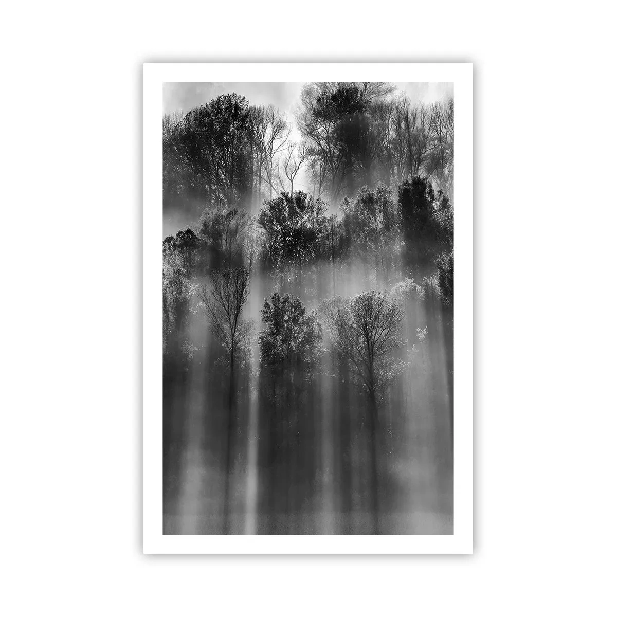 Póster - En los flujos de luz - 61x91 cm