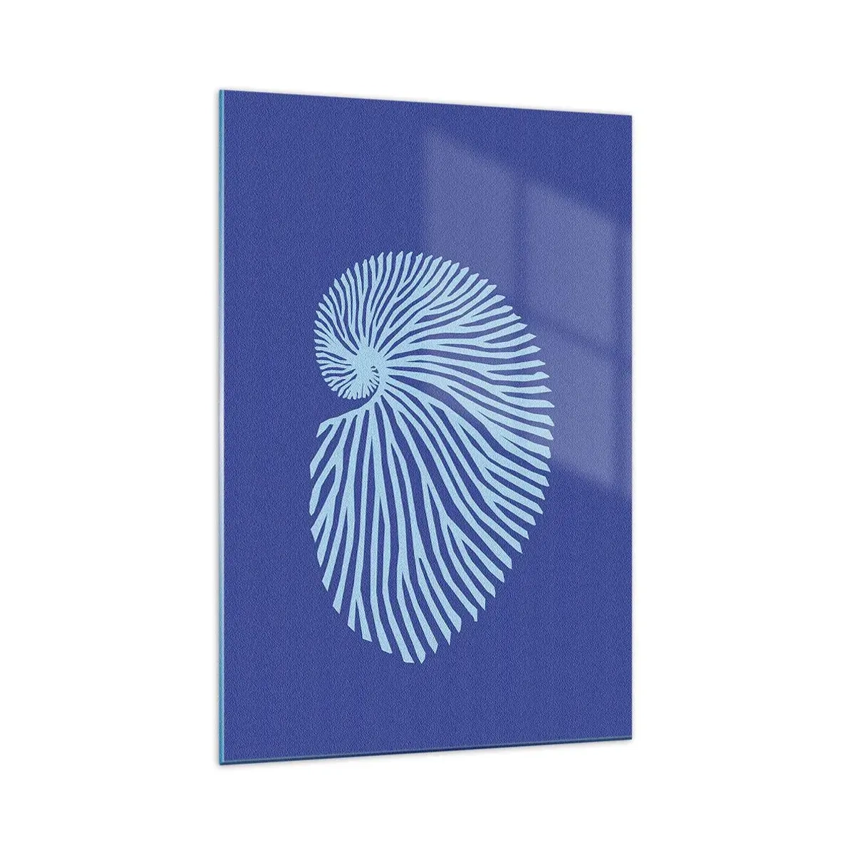 Cuadro sobre vidrio - Impresiones sobre Vidrio - Nacimiento de una concha - 70x100 cm