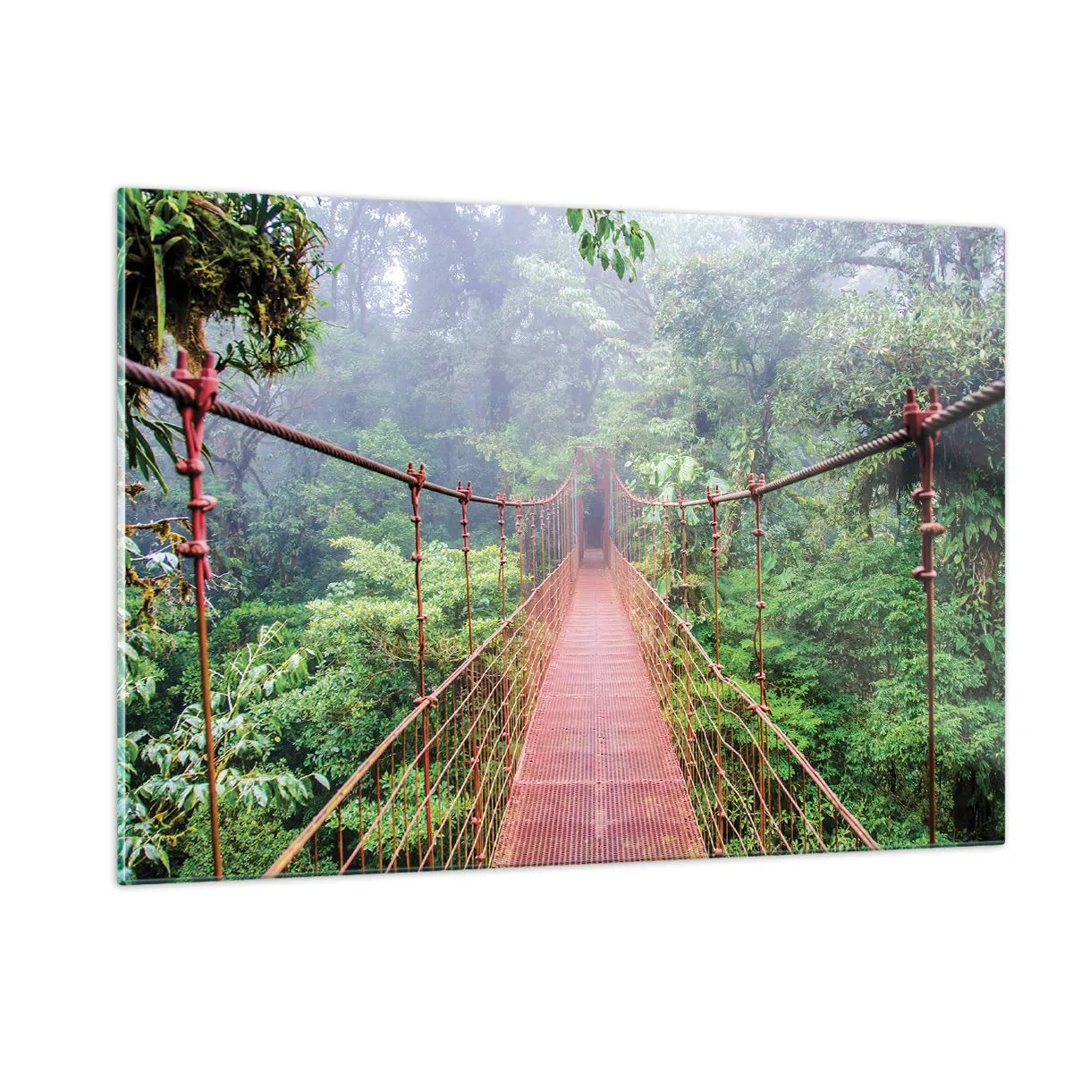 Cuadro sobre vidrio - Impresiones sobre Vidrio - Un puente colgante rojo sobre una jungla verde en la niebla. - 120x80cm - Suspendido sobre las copas - Decoración de pared moderna para salón y dormitorio ARTTOR