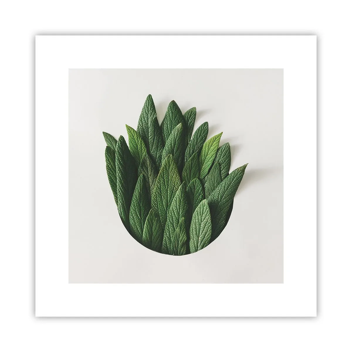 Póster - Curiosidad desenfrenada - 30x30 cm