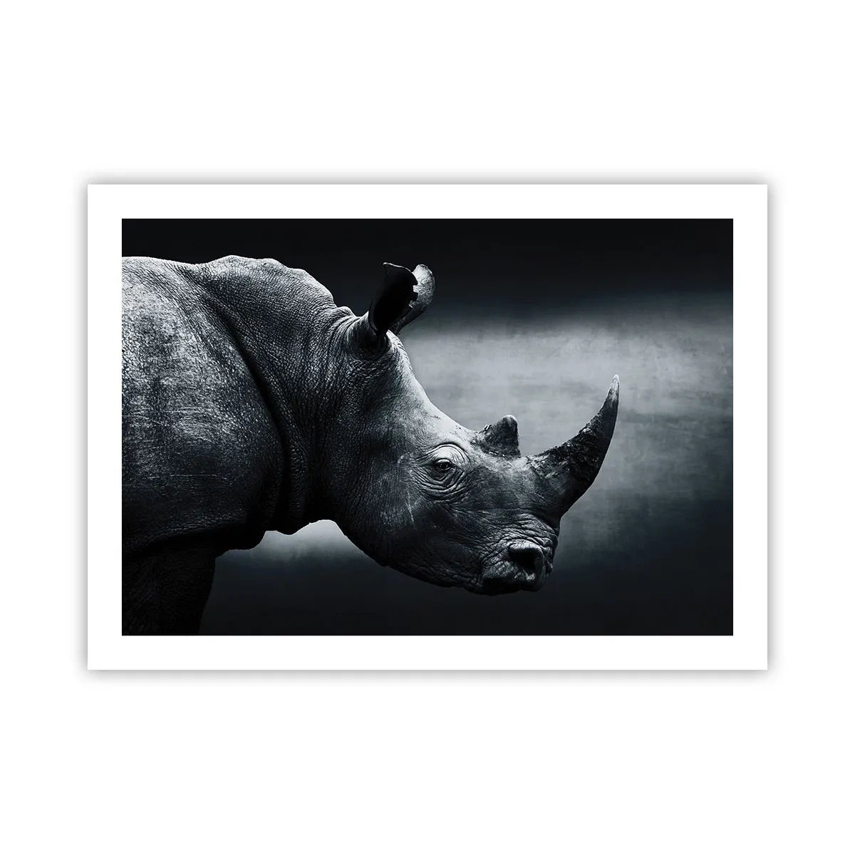 Póster - Perfil derecho - 70x50 cm