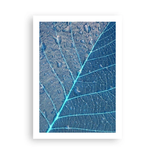 Póster - Primer plano de una hoja en tonos azules. - 50x70cm - Vida en el azul - Decoración de pared moderna para salón y dormitorio ARTTOR