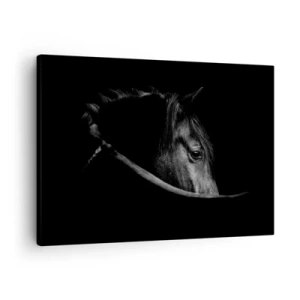 Cuadro sobre lienzo - Impresión de Imagen - Un retrato en blanco y negro de un caballo con un sutil juego de luces y sombras sobre un fondo oscuro. - 70x50cm - Príncipe negro - Decoración de pared moderna para salón y dormitorio ARTTOR