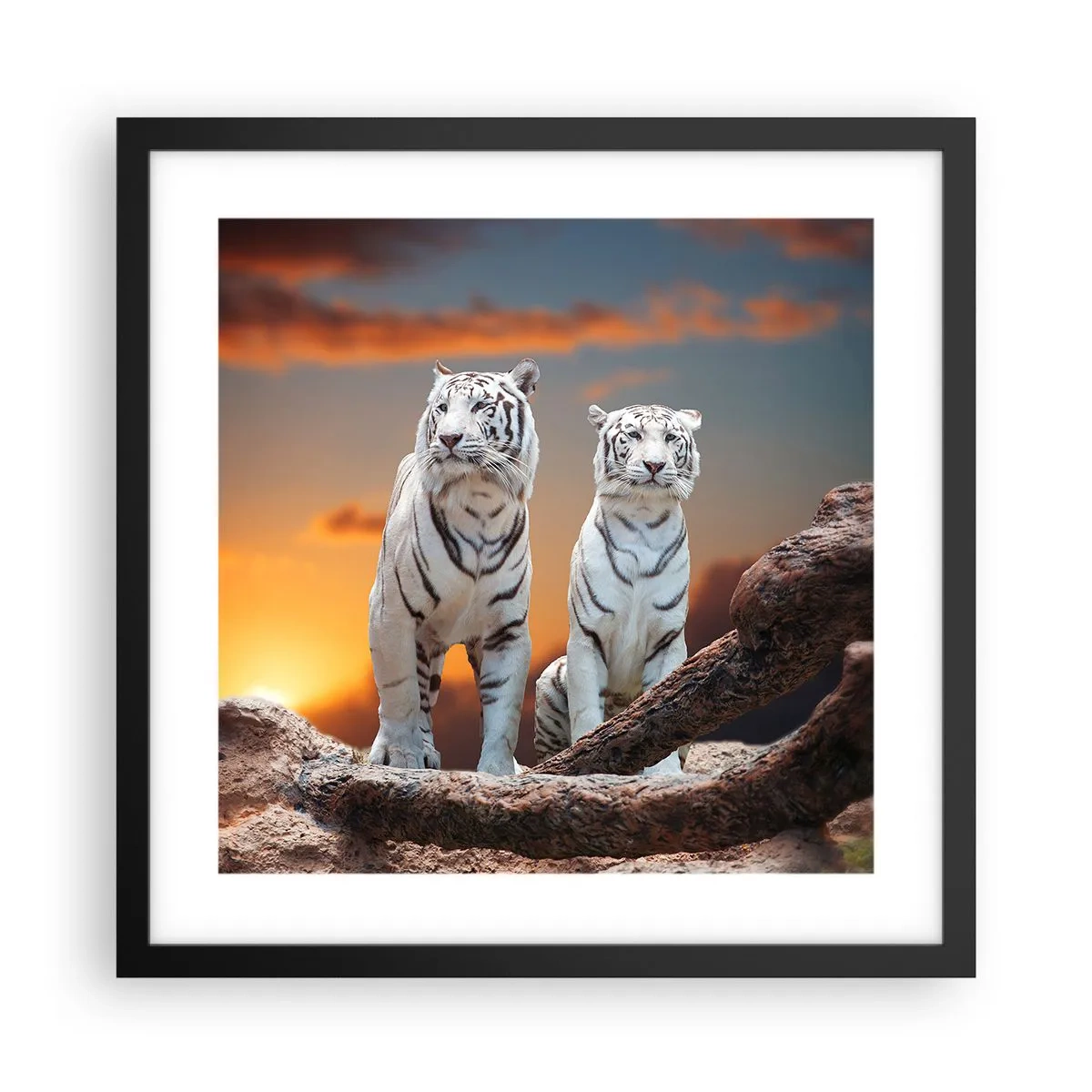 Póster en marco negro - Como en Narnia - 40x40 cm