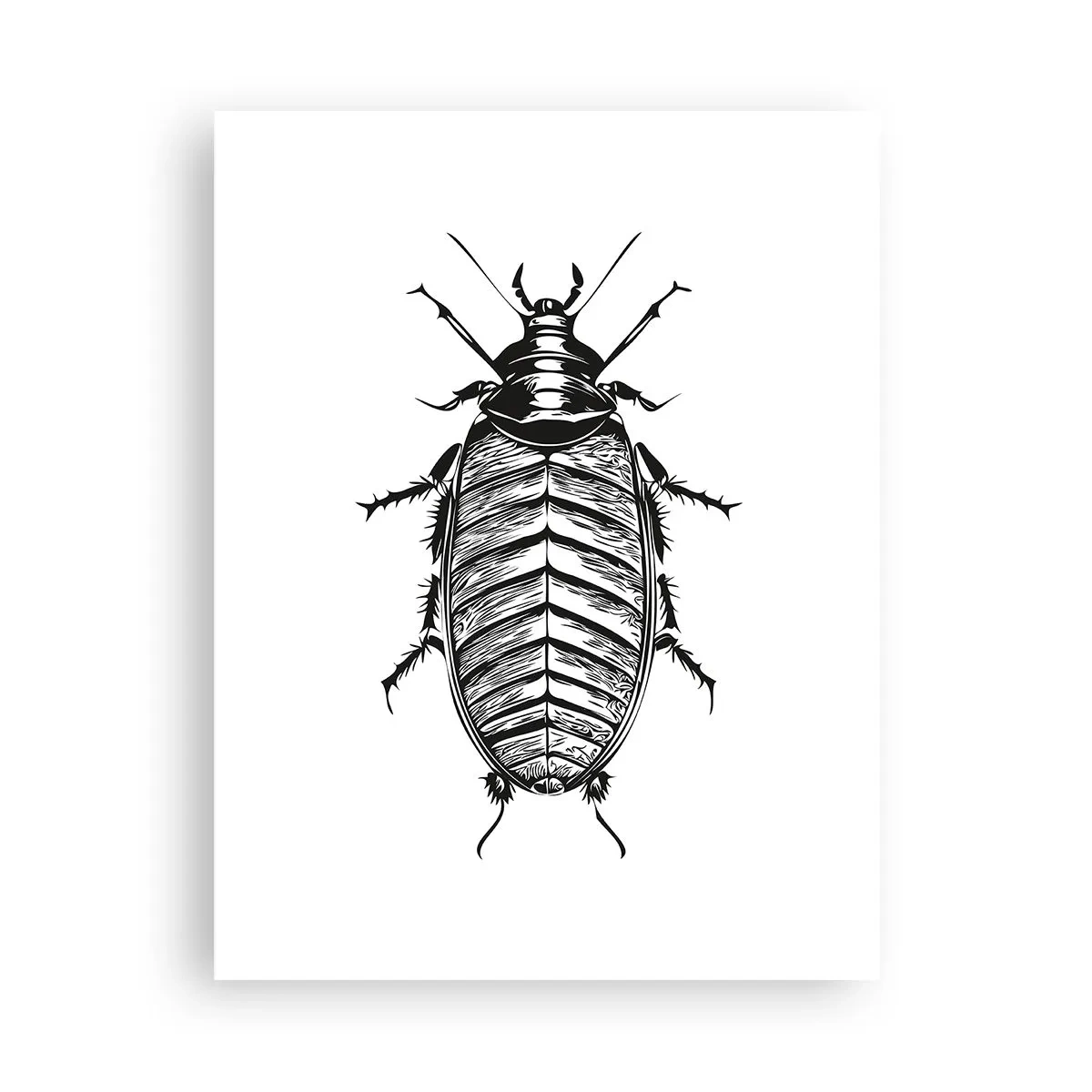 Póster - ¡Qué espécimen! - 30x40 cm