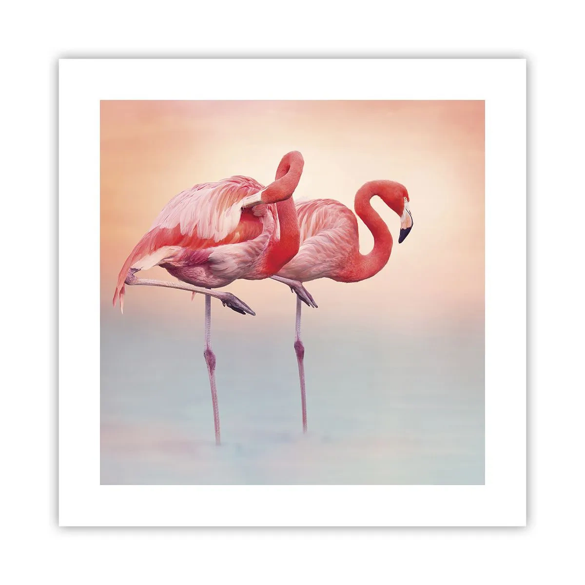 Póster - Elegancia bajo el sol de poniente - 40x40 cm