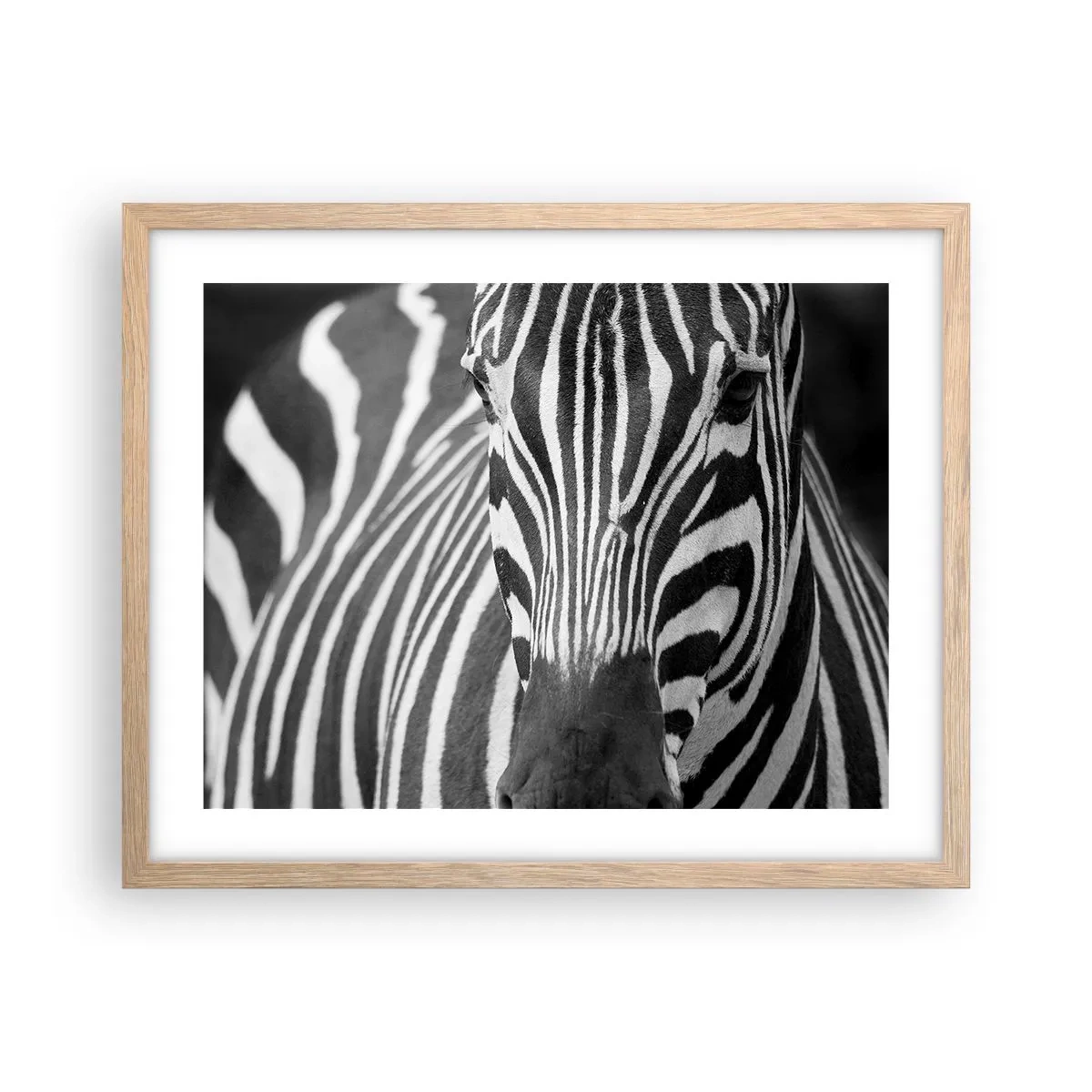 Póster en marco roble claro - El mundo es blanco y negro - 50x40 cm