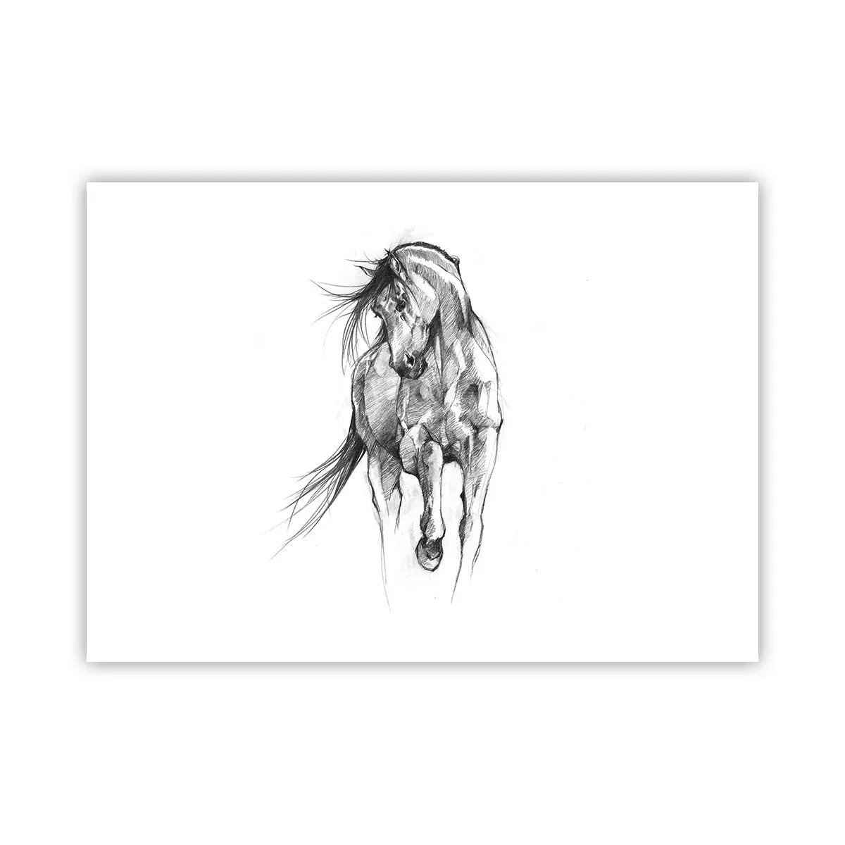 Póster - En un elegante trote - 70x50 cm