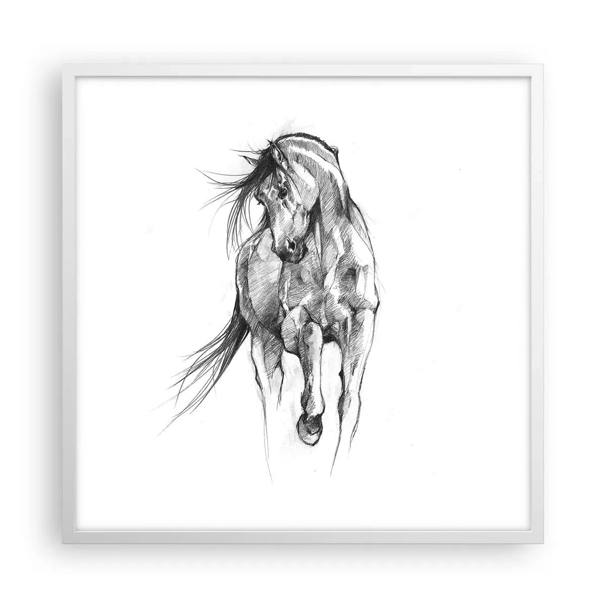 Póster en marco blanco - En un elegante trote - 60x60 cm
