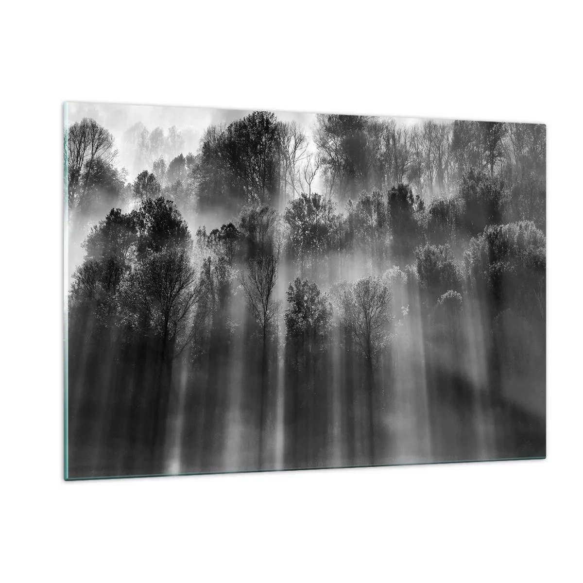 Cuadro sobre vidrio - Impresiones sobre Vidrio - Rayos de luz blancos y negros penetrando el bosque. - 120x80cm - En los flujos de luz - Decoración de pared moderna para salón y dormitorio ARTTOR
