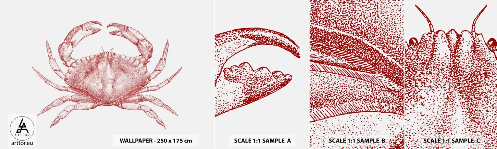 Muestra De Fotomural Standard Eco - El explorador de las rocas - Cangrejo, Mariscos, Mariscos - 100x30 cm