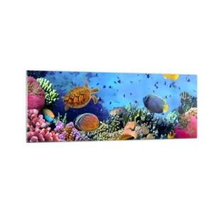 Cuadro sobre vidrio - Impresiones sobre Vidrio - Arrecife de coral con peces de colores y una tortuga marina. - 140x50cm - Y qué sabemos de la vida... - Decoración de pared moderna para salón y dormitorio ARTTOR