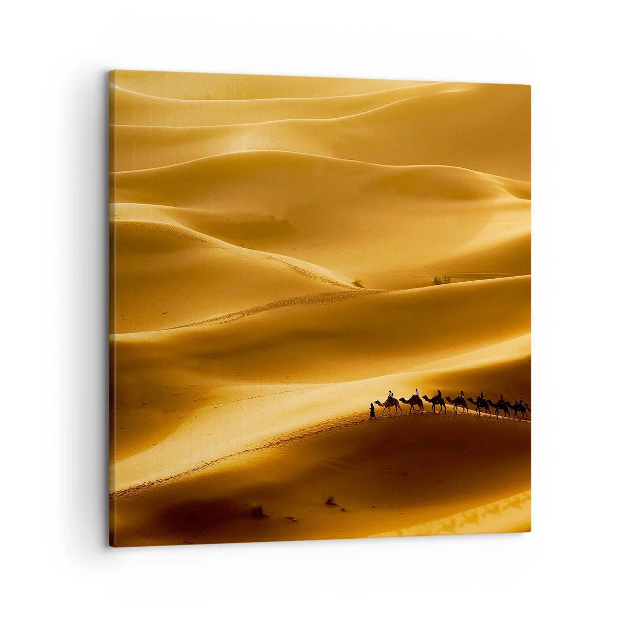 Cuadro sobre lienzo - Impresión de Imagen - Caravana sobre las olas del desierto - 50x50 cm