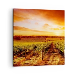Cuadro sobre lienzo - Impresión de Imagen - Delicadamente afrutado con un toque de sol - 50x50 cm