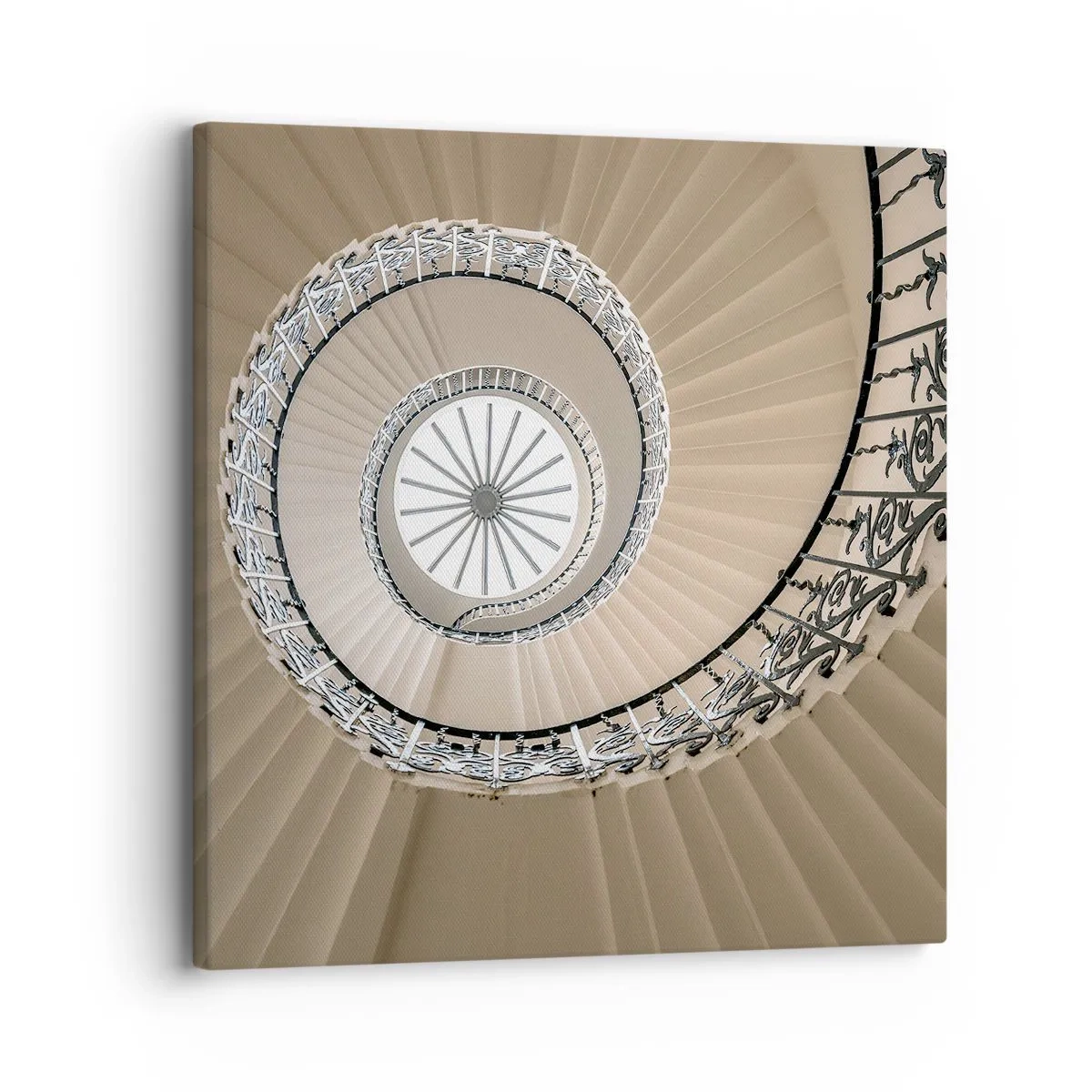 Cuadro sobre lienzo - Impresión de Imagen - En el interior de una concha - 30x30 cm