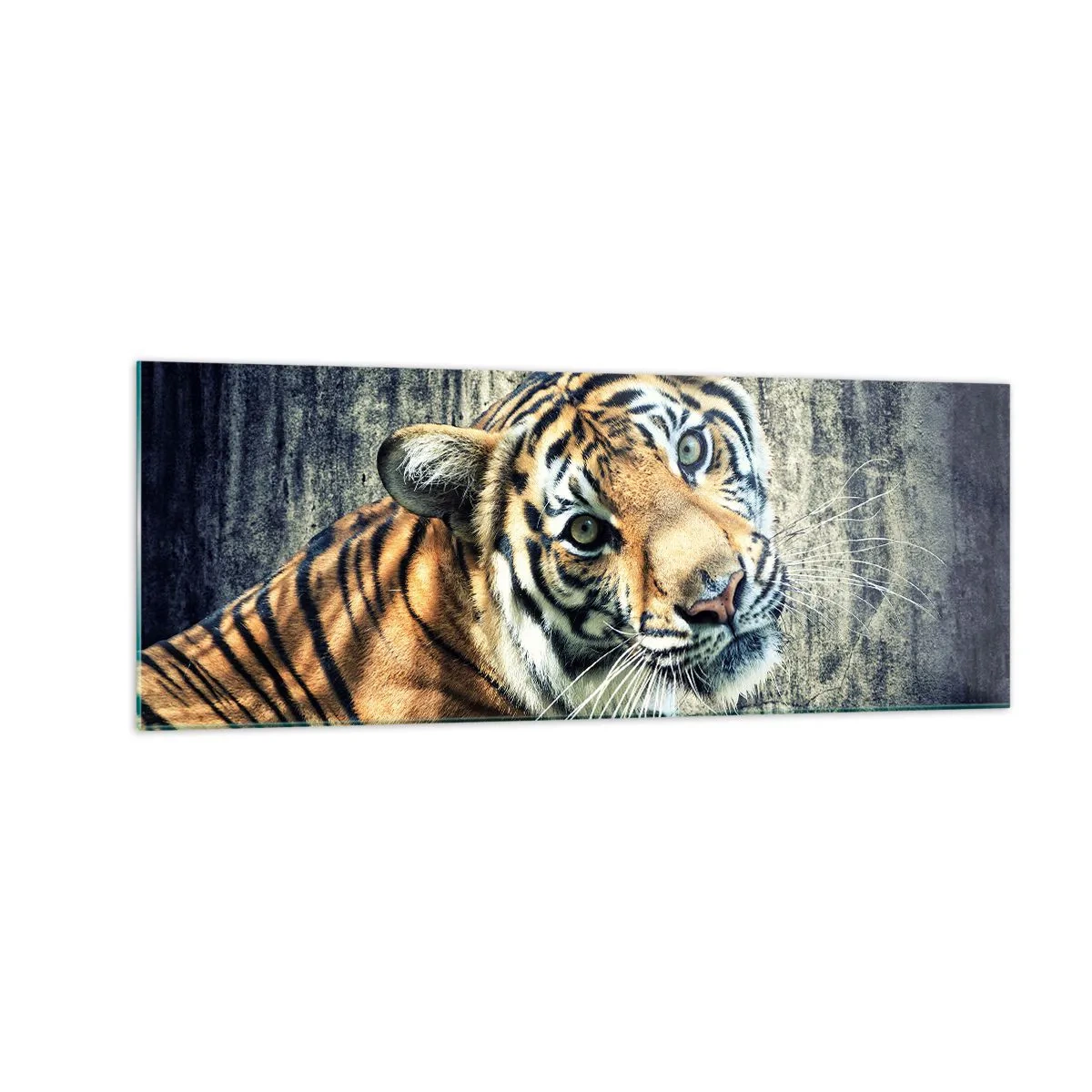 Cuadro sobre vidrio - Impresiones sobre Vidrio - Un tigre recostado contra una pared de textura rugosa. - 140x50cm - Retrato en corrientes de luz - Decoración de pared moderna para salón y dormitorio ARTTOR