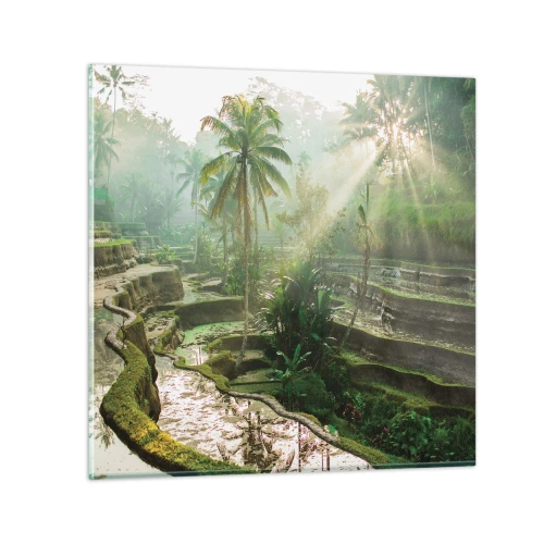 Cuadro sobre vidrio - Impresiones sobre Vidrio - Crecer bajo el sol - 30x30 cm