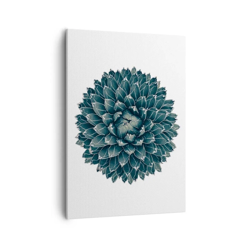 Cuadro sobre lienzo - Impresión de Imagen - Planta suculenta simétrica sobre un fondo blanco. - 50x70cm - Estrella del desierto - Decoración de pared moderna para salón y dormitorio ARTTOR