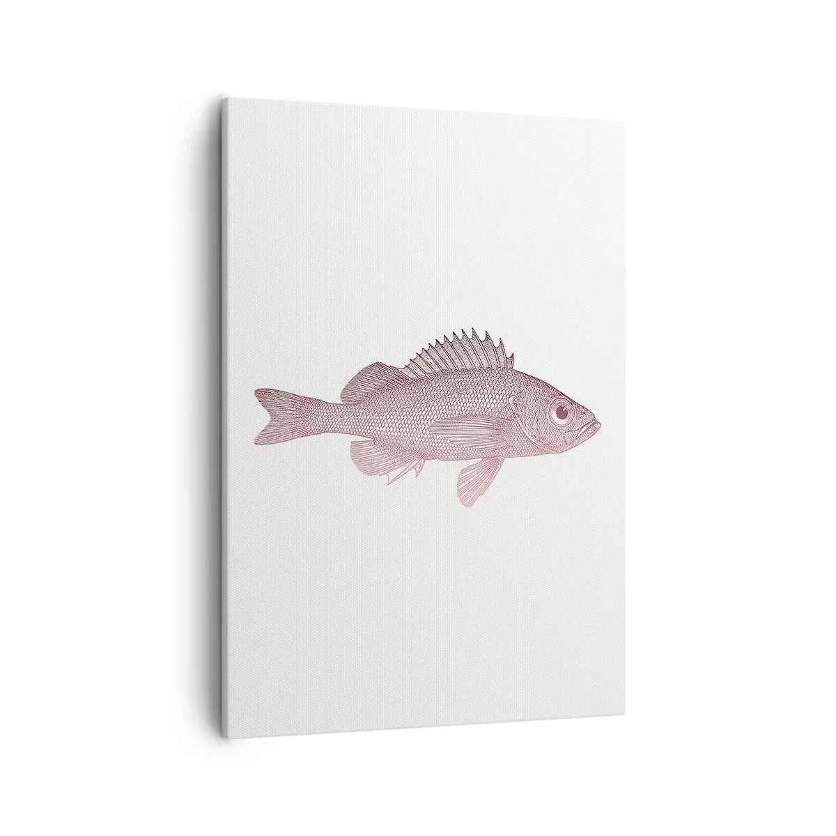 Cuadro sobre lienzo - Impresión de Imagen - Ilustración detallada de un pez sobre un fondo blanco. - 50x70cm - Pez de ojos grandes - Decoración de pared moderna para salón y dormitorio ARTTOR