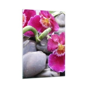 Cuadro sobre vidrio - Impresiones sobre Vidrio - Orquídeas rosas sobre un fondo de piedras lisas. - 80x120cm - Frío y calor - Decoración de pared moderna para salón y dormitorio ARTTOR